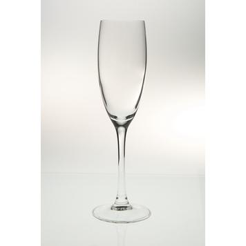 感官香檳杯160cc(六入)-台灣玻璃館