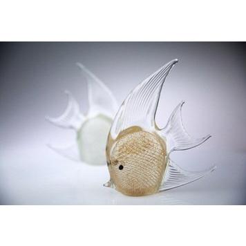 神仙魚(金銀)5''/隻
